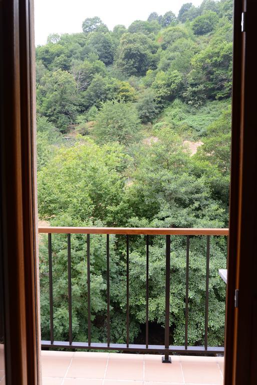 Apartamentos El Rincon De Limes 坎加斯德尔纳尔塞亚 客房 照片